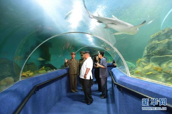 韓媒:金正日母校校車墜谷致逾50死 多名高干子女罹難 韓媒:金正日母校校車墜谷致逾50死 多名高干子女罹難