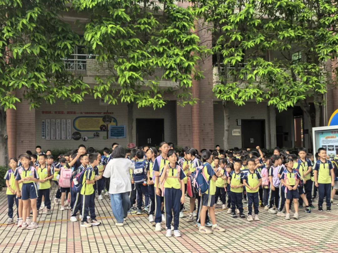 聚焦安全,守護校園——紫南小學校車安全應急疏散演練 聚焦安全,守護校園——紫南小學校車安全應急疏散演練