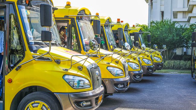 校車司機毛發檢測